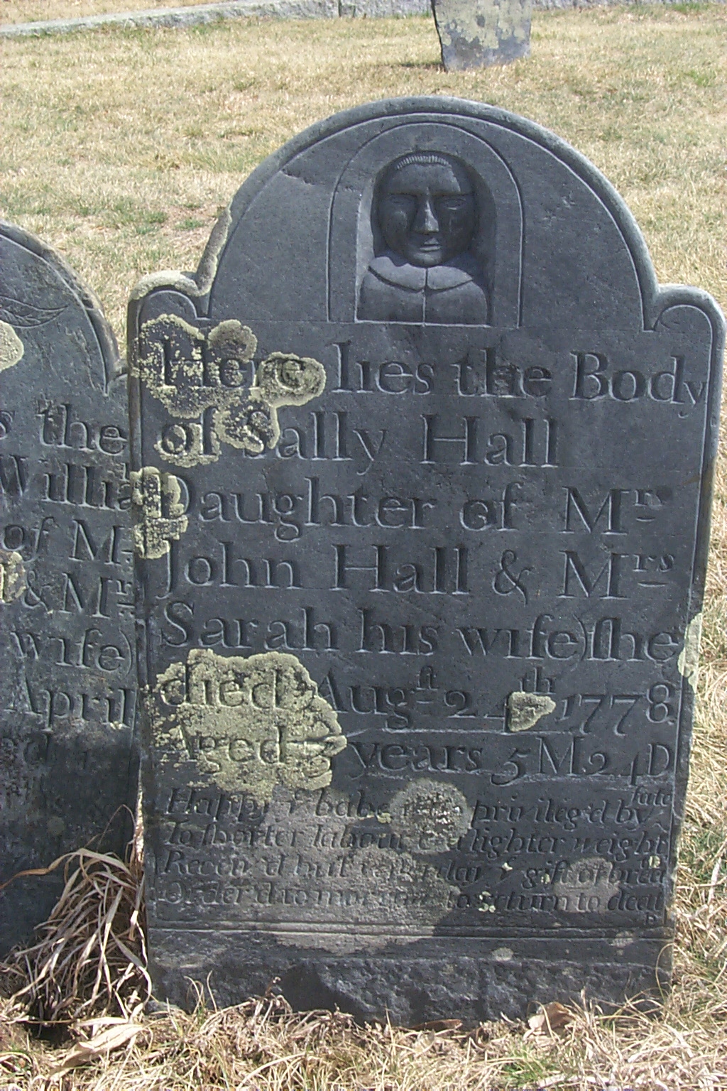 lichen growth dating